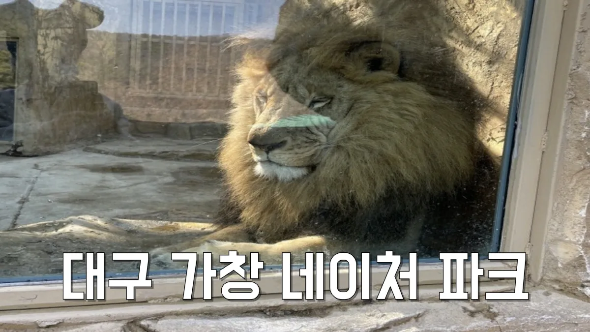 네이처 파크